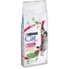 Cat Chow Adulto Urinary Care