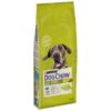 DOG CHOW Adult Large Peru 14kg