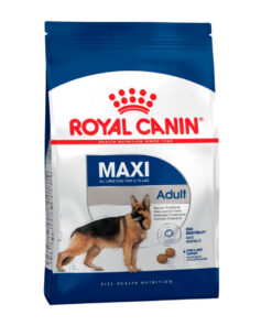 Royal Canin Maxi Adult 5+